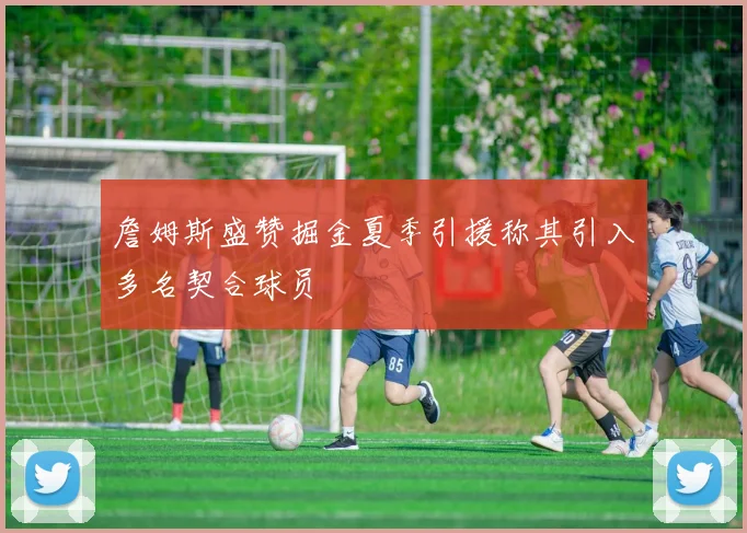 詹姆斯盛赞掘金夏季引援称其引入多名契合球员