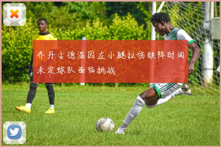 乔丹古德温因左小腿拉伤缺阵时间未定球队面临挑战
